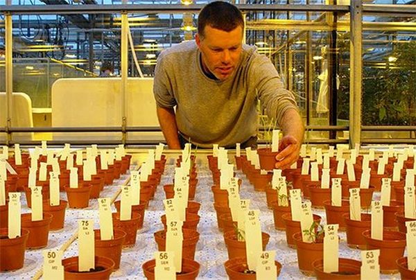 Wieger observed the growth of 14 different plants for 50 days on specially made artificial Mars soil.