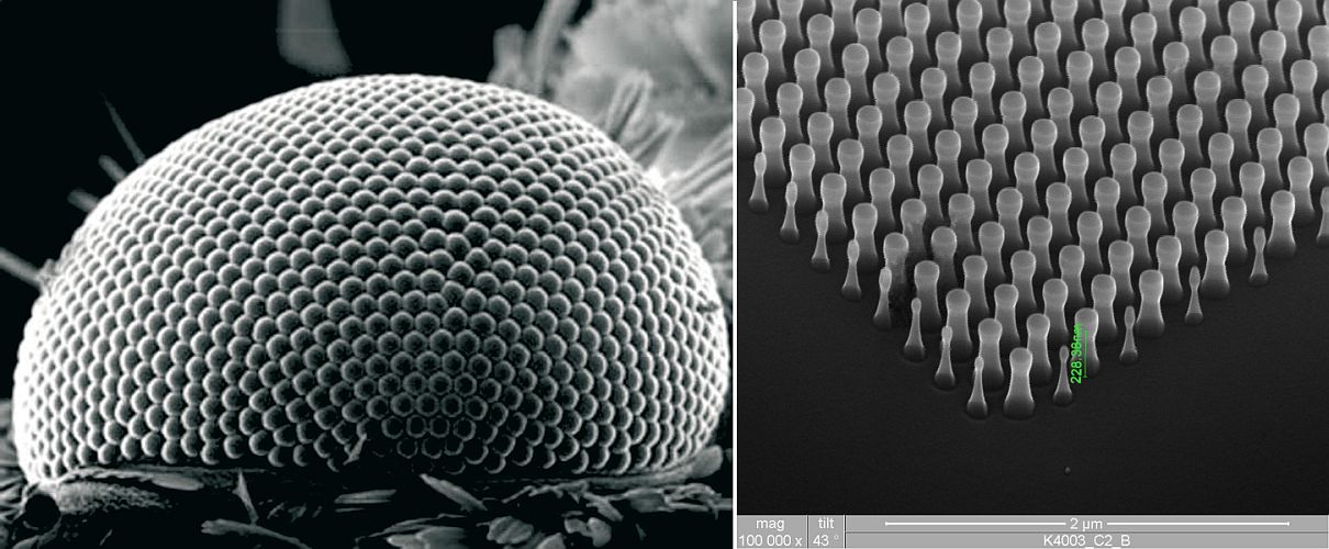 inspired from the eyeballs of moths, a advanced coating has been developed that reduces glare and repels water (2)