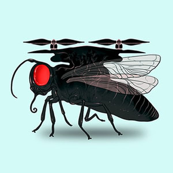 Insect inspired artificial eyes for drones