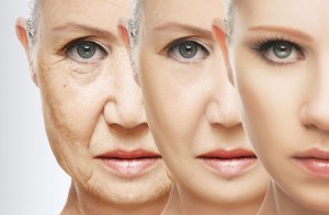 Molecules That Could Delay Aging Discovered: Achieving Healthy Longevity