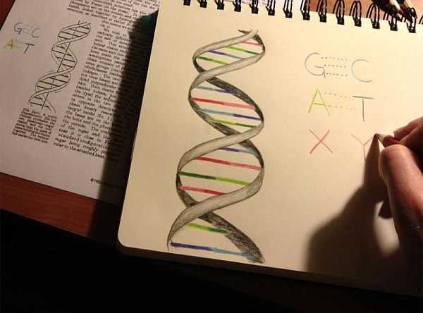 expanded DNA biology
