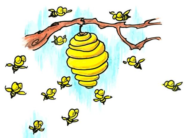 bees-around-a-hive