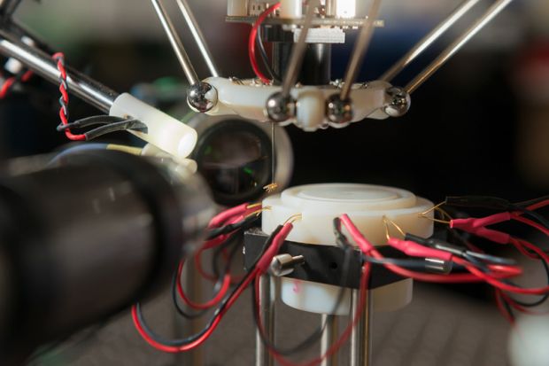 The drosophila hangs unharmed lifted by the robot’s suction tube.